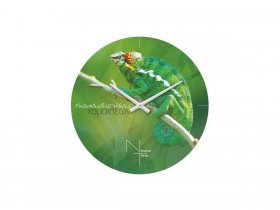 Часы настенные Nicole Time NT503 в Новосибирске - mebel-nsk.ru | фото